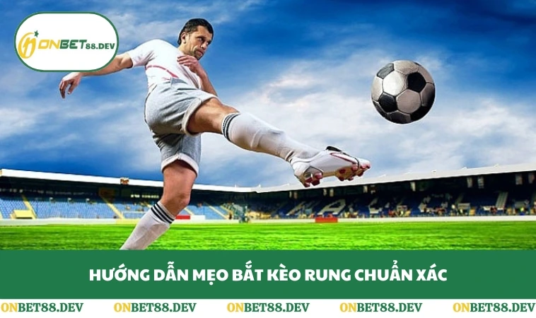 Hướng dẫn mẹo bắt kèo rung chuẩn xác