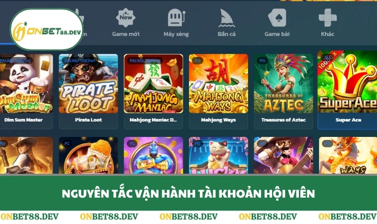 Nguyên tắc vận hành tài khoản hội viên