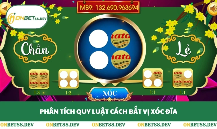 Phân tích quy luật cách bắt vị xóc đĩa