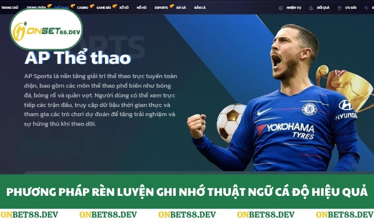 Phương pháp rèn luyện ghi nhớ thuật ngữ cá độ hiệu quả